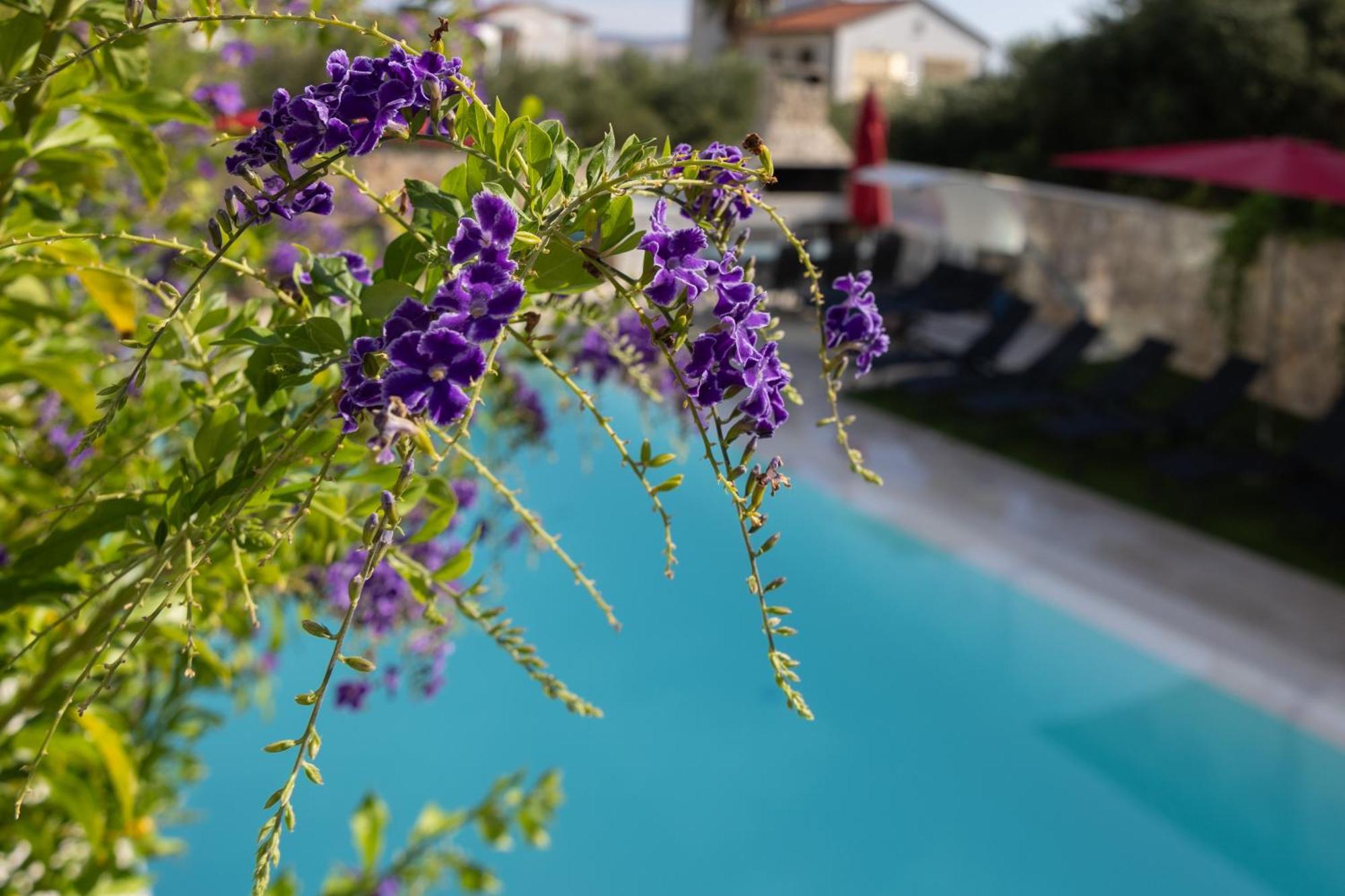 Villa Aqua Zaboric Esterno foto