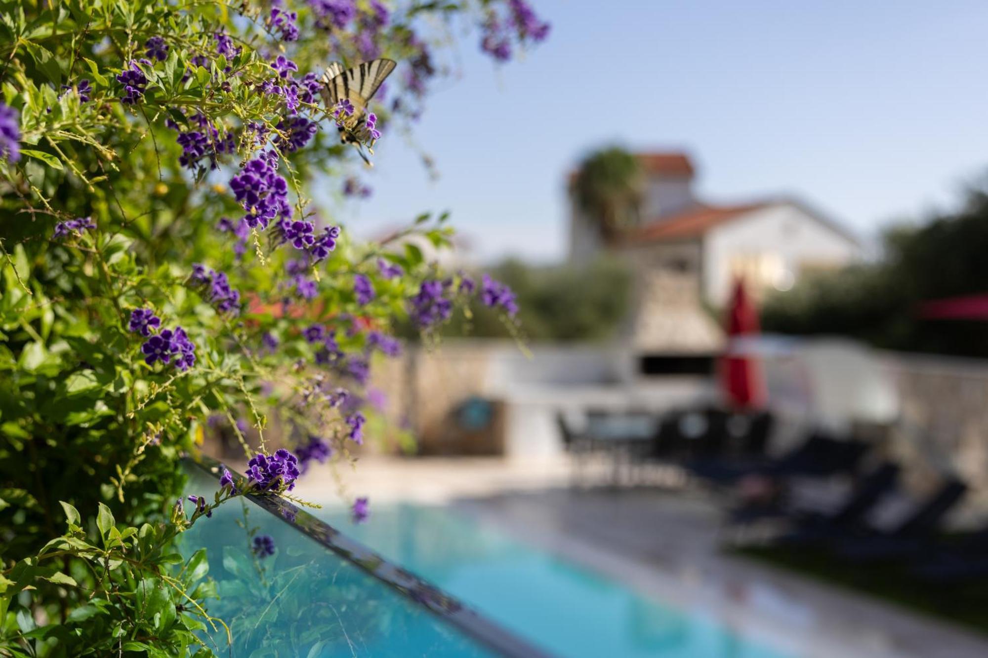Villa Aqua Zaboric Esterno foto